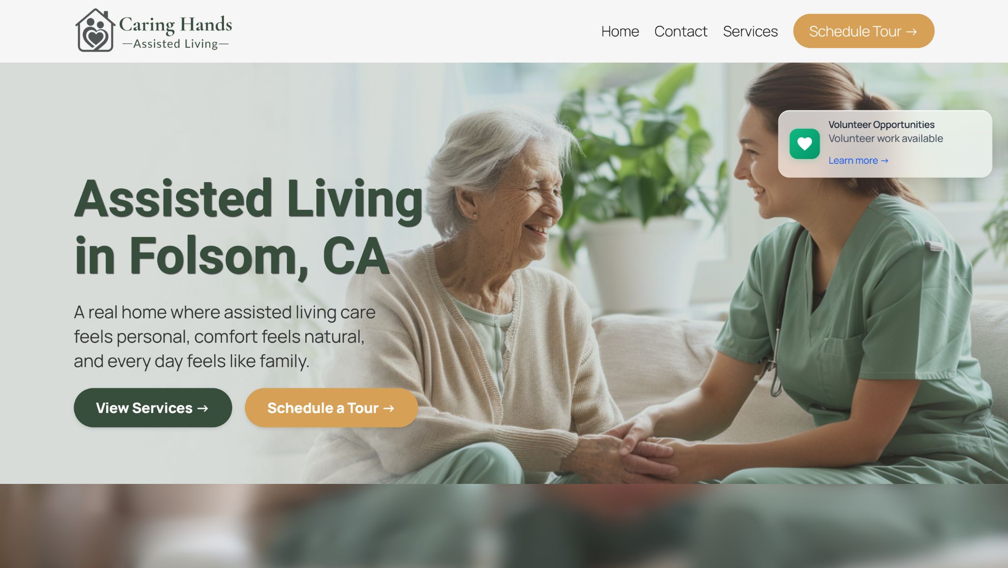 Web Design Services, Full desig, development and SEO growth 