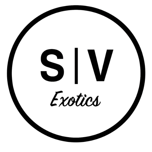 Silicon Valley Exotics